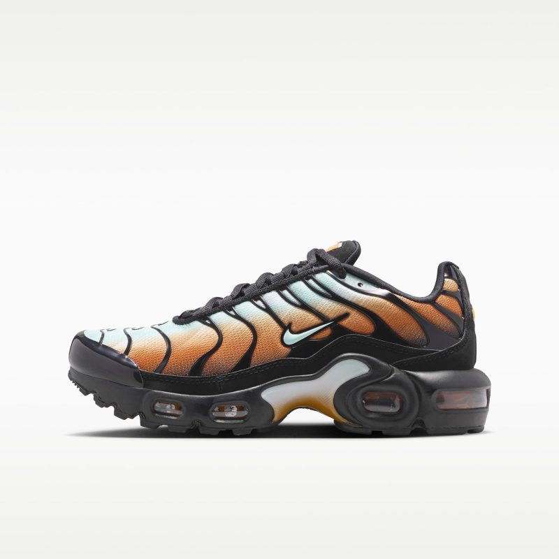 Nike Air Max Plus SE